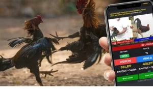 Sabong Betting in the Philippines: A Thrilling Tradition Now Live on 8JL Casino