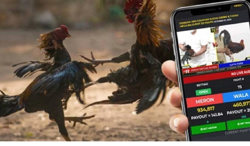 Sabong Betting in the Philippines: A Thrilling Tradition Now Live on 8JL Casino