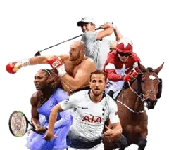 sport sports betting